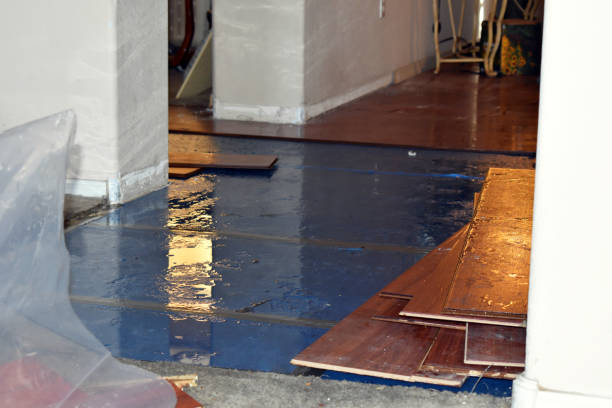 Professional Emergency Water Damage Restoration technician working in Woodbine, NJ